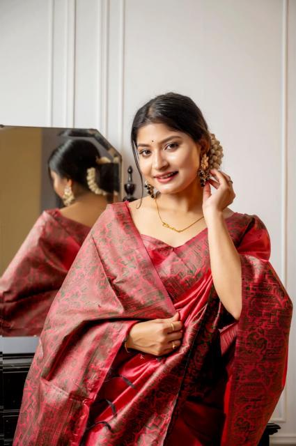 Dazira Handloom Raw Silk catalog saree video surat