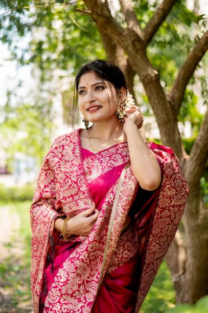 Dazira Handloom Raw Silk catalog saree video surat