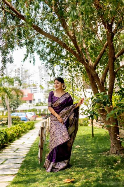 Dazira Handloom Raw Silk catalog saree video surat