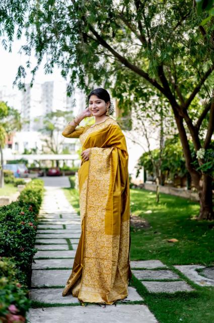 Dazira Handloom Raw Silk catalog saree video surat