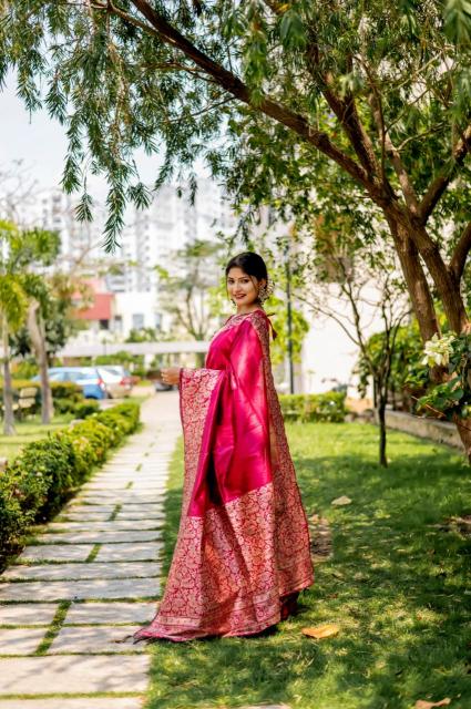Dazira Handloom Raw Silk catalog saree video surat