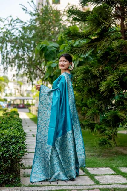 Dazira Handloom Raw Silk catalog saree video surat