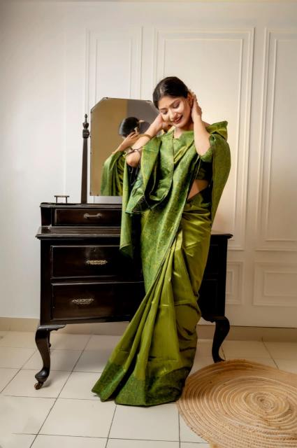 Dazira Handloom Raw Silk catalog saree video surat