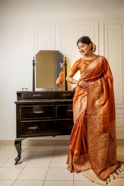 Dazira Handloom Raw Silk catalog saree video surat