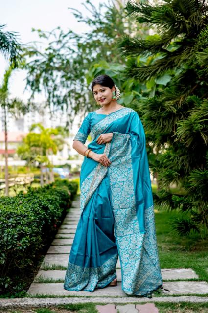 Dazira Handloom Raw Silk catalog saree video surat