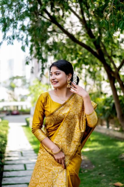 Dazira Handloom Raw Silk catalog saree video surat