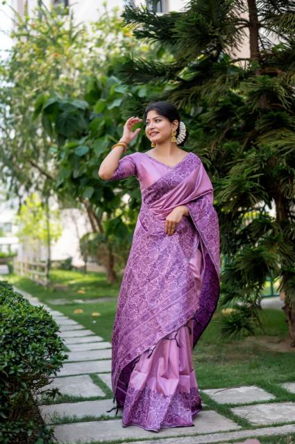 Dazira Handloom Raw Silk catalog saree video surat