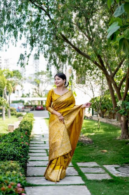 Dazira Handloom Raw Silk catalog saree video surat