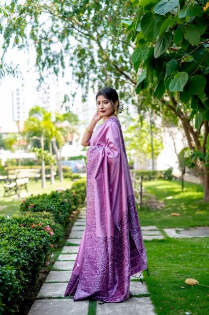 Dazira Handloom Raw Silk catalog saree video surat