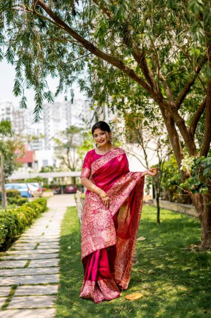 Dazira Handloom Raw Silk catalog saree video surat