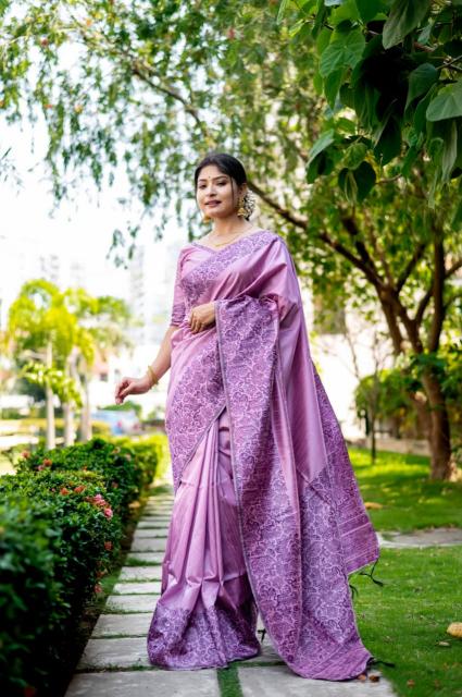 Dazira Handloom Raw Silk catalog saree video surat