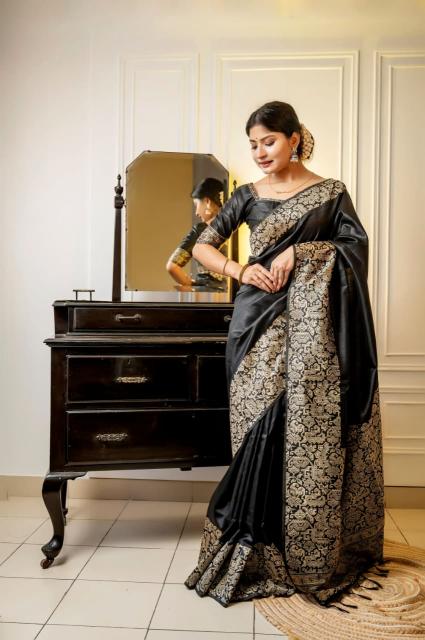 Dazira Handloom Raw Silk catalog saree video surat