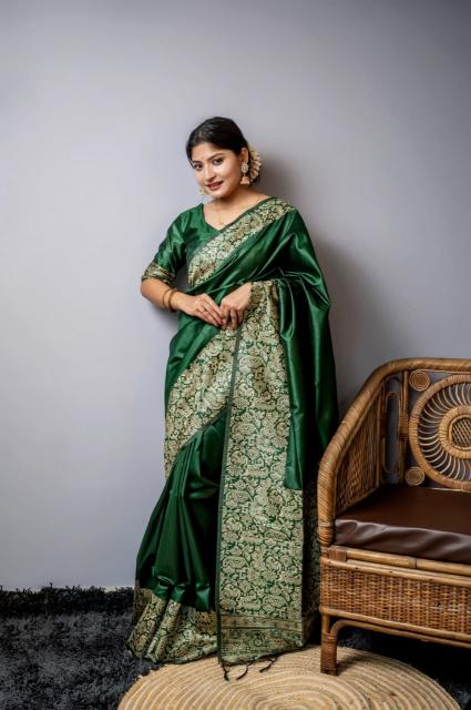 Dazira Handloom Raw Silk catalog saree video surat