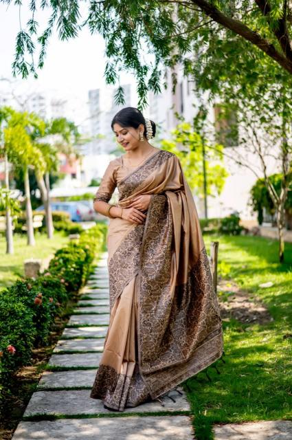 Dazira Handloom Raw Silk catalog saree video surat