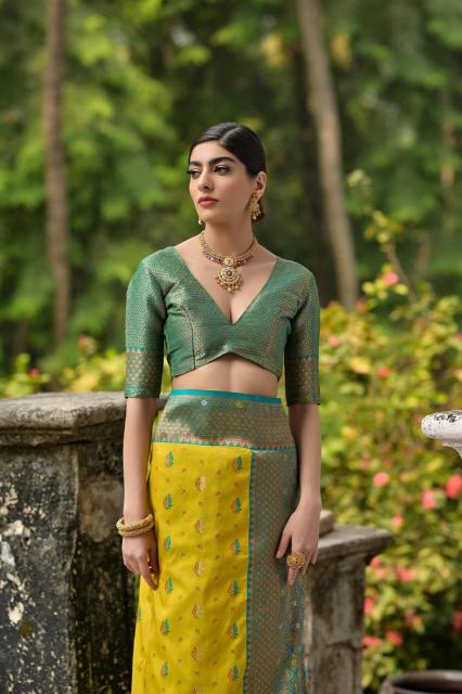 Dazira Pure Banarasi silk catalog silk saree manufacturers surat