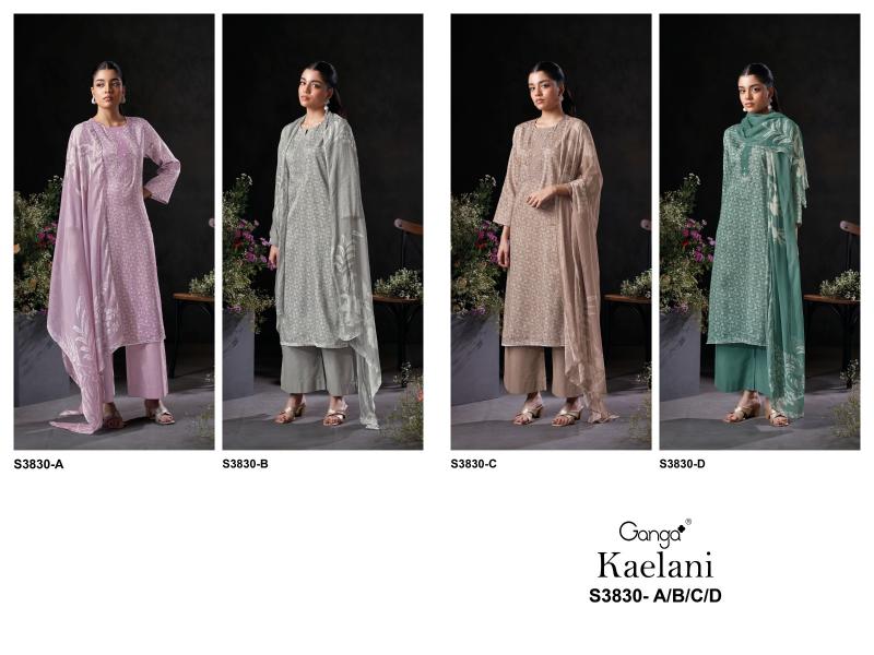 Ganga Kaelani 3830 catalog salwar kameez wholesaler