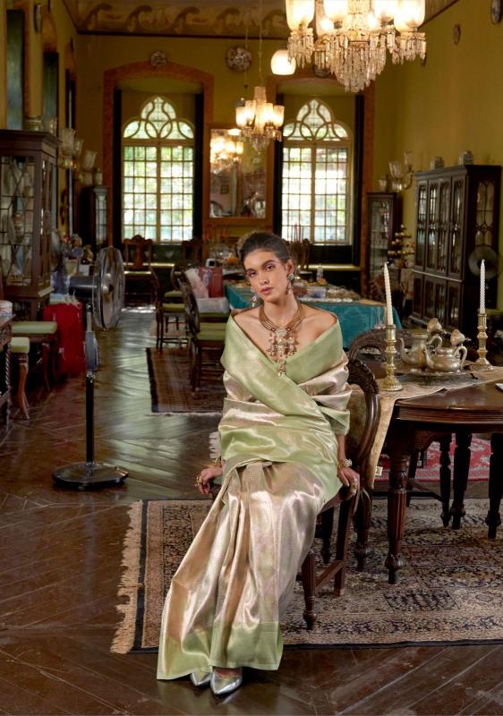 Rajtex Kanjeepuram Canva catalog kanjeevaram sarees wholesale in surat