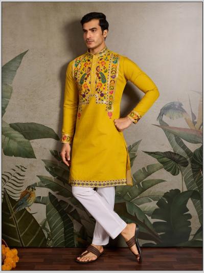 Shubhvastra Rajwadi Raas vol 2 catalog silk kurti online india