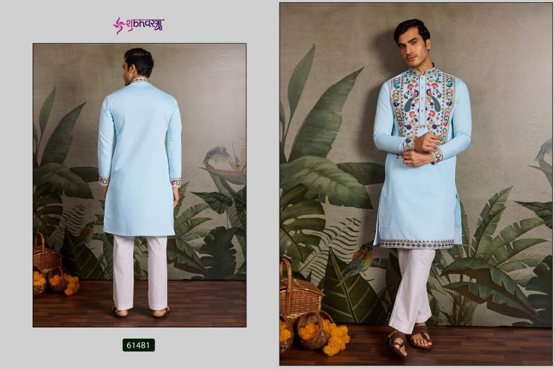 Shubhvastra Rajwadi Raas vol 2 catalog silk kurti online india