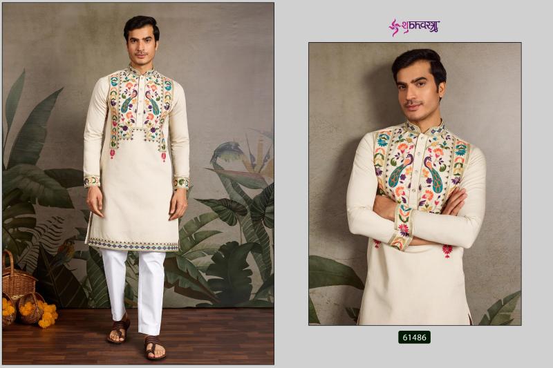 Shubhvastra Rajwadi Raas vol 2 catalog silk kurti online india