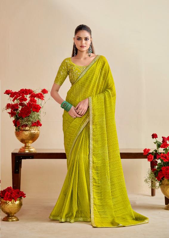 Stavan Bandhniya catalog saree embroidery designs in surat