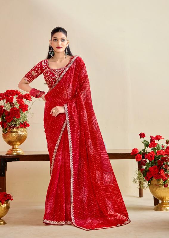 Stavan Bandhniya catalog saree embroidery designs in surat