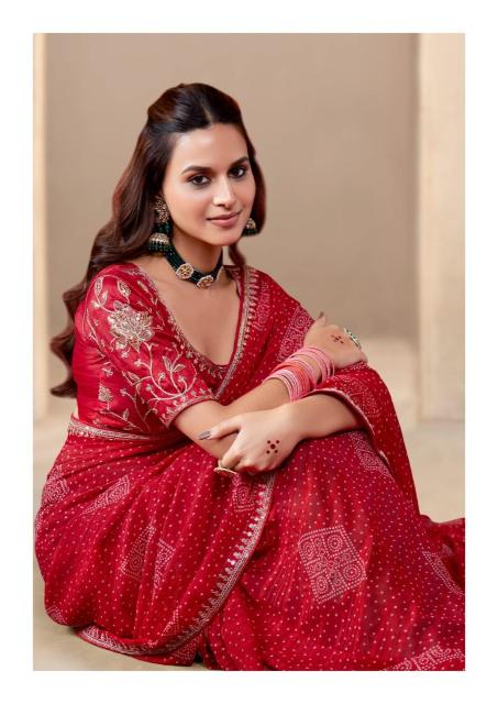 Stavan Baandhniya vol 2 catalog sarees surat designer