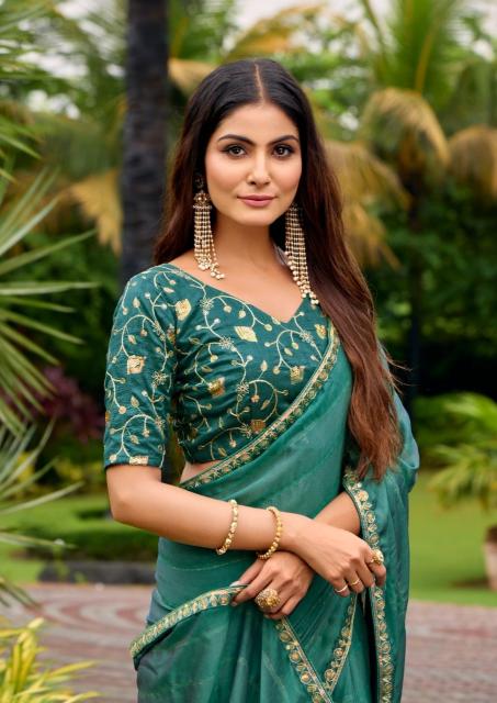 Stavan Kashiva catalog wholesale sarees catalogue in surat 