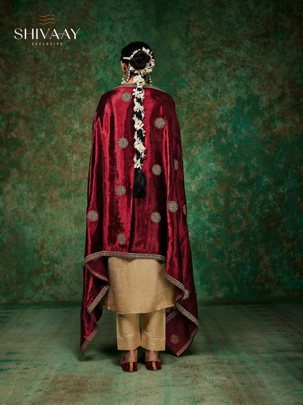 Shivaay Josephibe catalog salwar kameez suits wholesale online