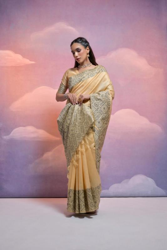 Dazira Soft Banglori catalog surat saree market online