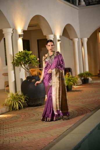Dazira Soft Khadi Raw silk Vol 2 catalog purple sarees surat