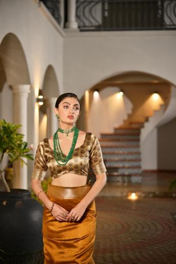 Dazira Soft Khadi Raw silk Vol 2 catalog purple sarees surat