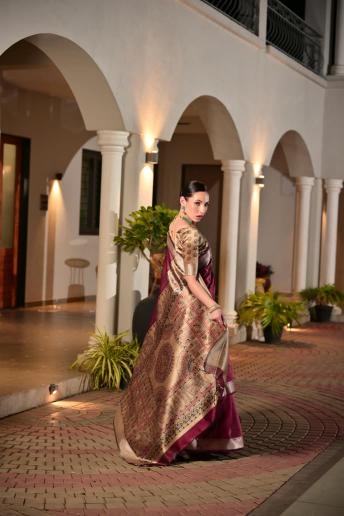 Dazira Soft Khadi Raw silk Vol 2 catalog purple sarees surat