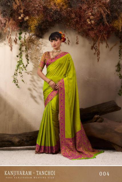 Rajtex Kanjivaram Tanchoi catalog bulk sarees in surat