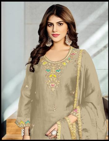 Serine S 1089 catalog pakistani suit hole wholesale market