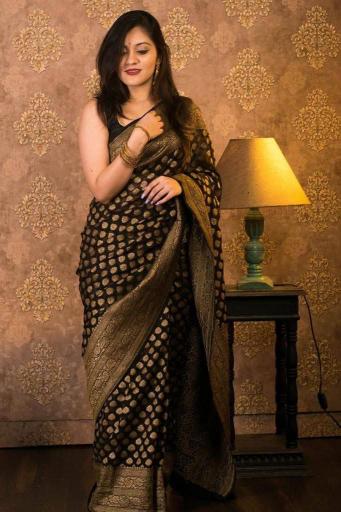 Dazira LC 60 catalog surat sarees online