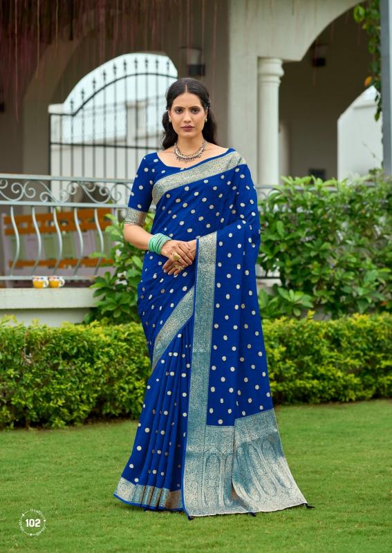 Dazira Sai catalog purchase saree from surat