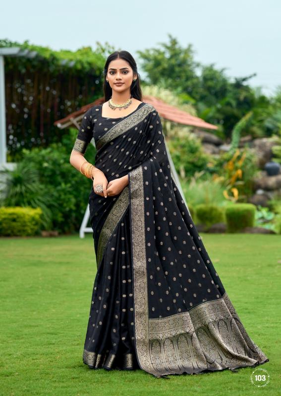 Dazira Sai catalog purchase saree from surat
