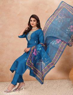 Guzarish 0.2 kurtis e commerce product