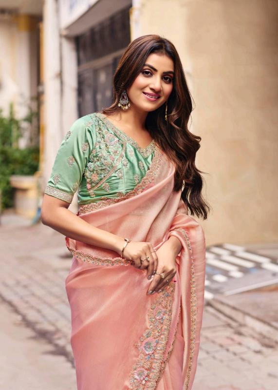Lt Jimmy catalog buy wholesale sarees in surat