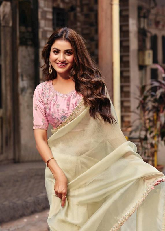 Lt Jimmy catalog buy wholesale sarees in surat
