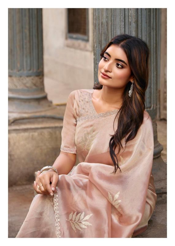Lt Primark vol 17 catalog ambica sarees catalogue 2025