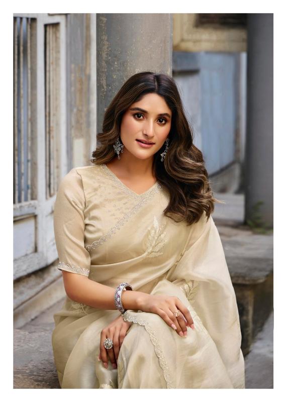 Lt Primark vol 17 catalog ambica sarees catalogue 2025