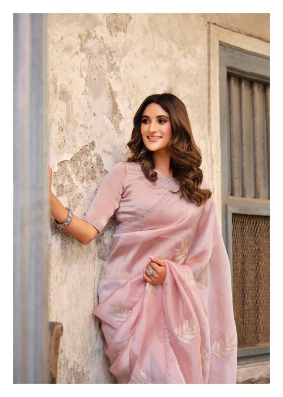 Lt Primark vol 17 catalog ambica sarees catalogue 2025