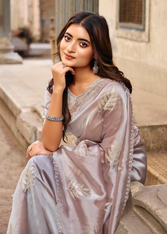 Lt Primark vol 17 catalog ambica sarees catalogue 2025