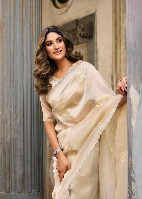 Lt Primark vol 17 catalog ambica sarees catalogue 2025