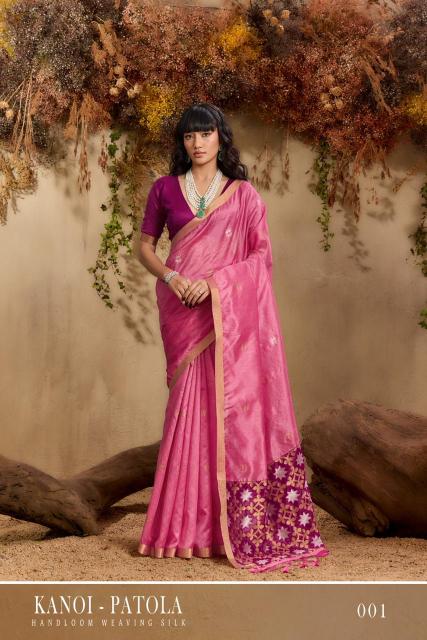 Rajtex Kanoi Patola catalog surat silk saree