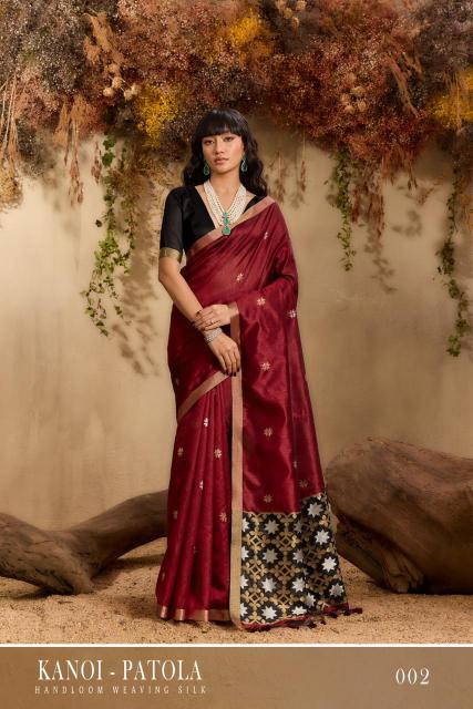 Rajtex Kanoi Patola catalog surat silk saree
