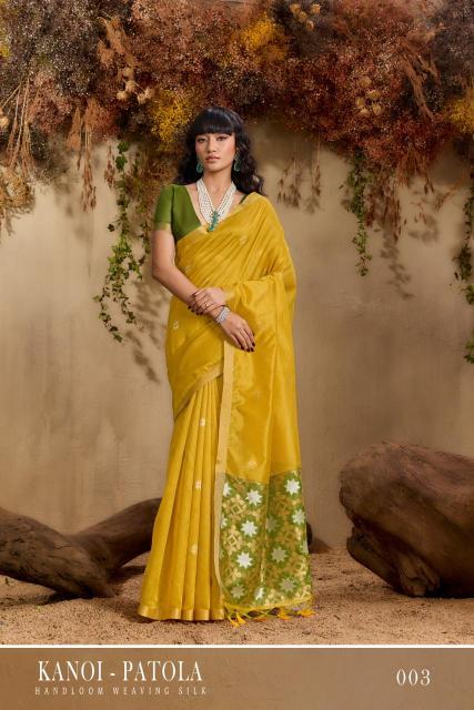 Rajtex Kanoi Patola catalog surat silk saree