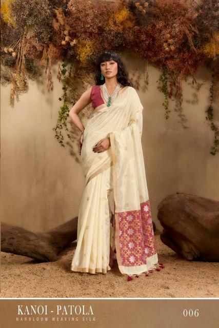 Rajtex Kanoi Patola catalog surat silk saree